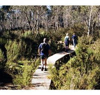Hume and Hovell Walking Track - Henry Angel Trackhead - Tourism Search