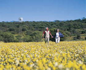 Koolanooka Springs - Tourism Search 0
