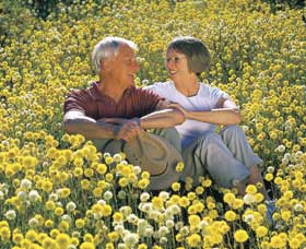 Koolanooka Springs - Tourism Search 3