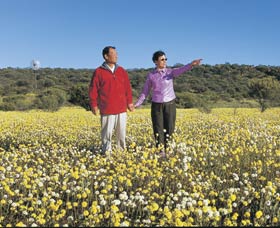 Koolanooka Springs - Tourism Search 1