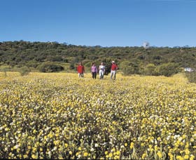 Koolanooka Springs - Tourism Search 2