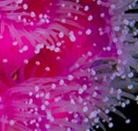 Yaringa Marine National Park - Tourism Search