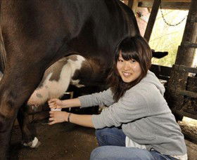 Warrook Farm - Tourism Search 2