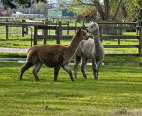 Warrook Farm - Tourism Search 6