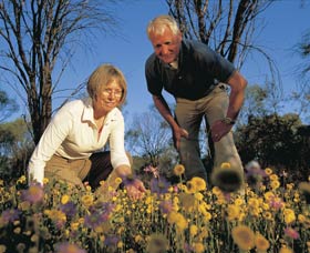 Canna Reserve - Tourism Search 0