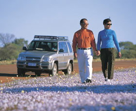 Canna Reserve - Tourism Search 1