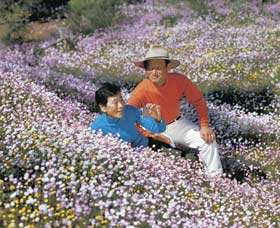 Canna Reserve - Tourism Search 3