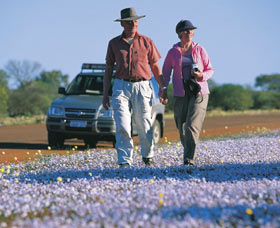 Canna Reserve - Tourism Search 2