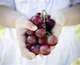 Granitevale  Estate Winery - Tourism Search 0