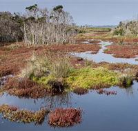 French Island National Park - Tourism Search