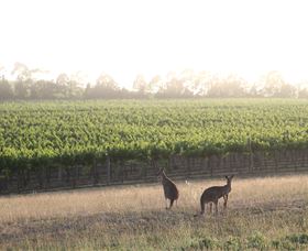 Small Forest Wine - Tourism Search 0