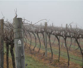 Small Forest Wine - Tourism Search 1