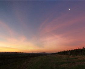 Small Forest Wine - Tourism Search 2