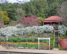 Spring Bluff Railway Station - Tourism Search 1