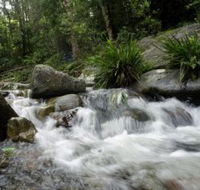 Washpool National Park - Tourism Search