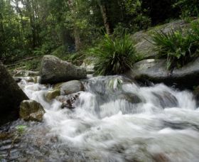 Washpool National Park - Tourism Search 0