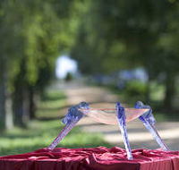 Lillico Glass Studio - Tourism Search