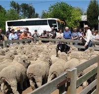 Gold Creek Station - Tourism Search