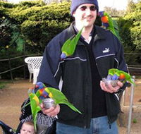 Canberra Walk In Aviary - Tourism Search