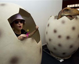 National Dinosaur Museum - Tourism Search 2