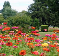 Alma Park - Tourism Search