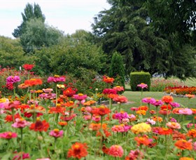 Alma Park - Tourism Search 0