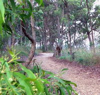 Mount Mutton Walking Trail - Tourism Search