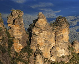 Andersons Tours