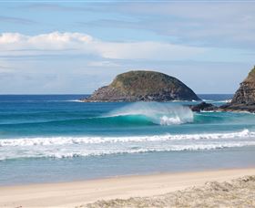 Surfaris Surf Camp - Tourism Search 4