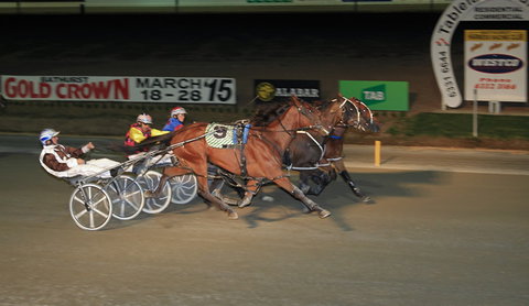 Bathurst Harness Racing Club - Tourism Search 3