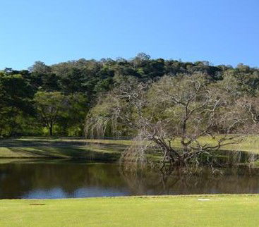 Antill Park Country Golf Club - Tourism Search 1