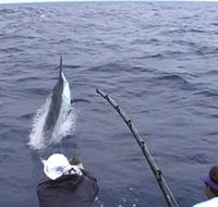 Amokura Charters - Tourism Search