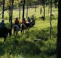 Hunter Valley Horse Riding and Adventures - Tourism Search