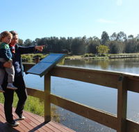 Hunter Wetlands Centre Australia - Tourism Search