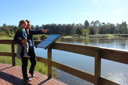 Hunter Wetlands Centre Australia - Tourism Search 0