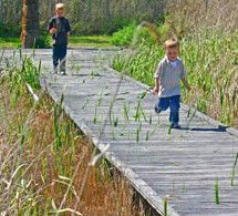 Hunter Wetlands Centre Australia - Tourism Search 1