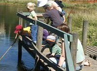 Hunter Wetlands Centre Australia - Tourism Search 2