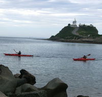 Newcastle Kayak Tours - Tourism Search