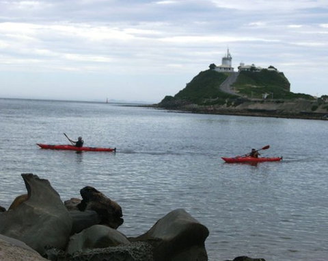 Newcastle Kayak Tours - Tourism Search 0