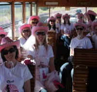 Newcastles Famous Tram - Tourism Search