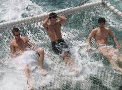 Tex Tours - Tourism Search 2