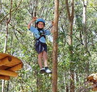 TreeTops Newcastle - Tourism Search