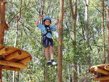 TreeTops Newcastle - Tourism Search 0