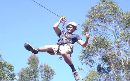 TreeTops Newcastle - Tourism Search 1
