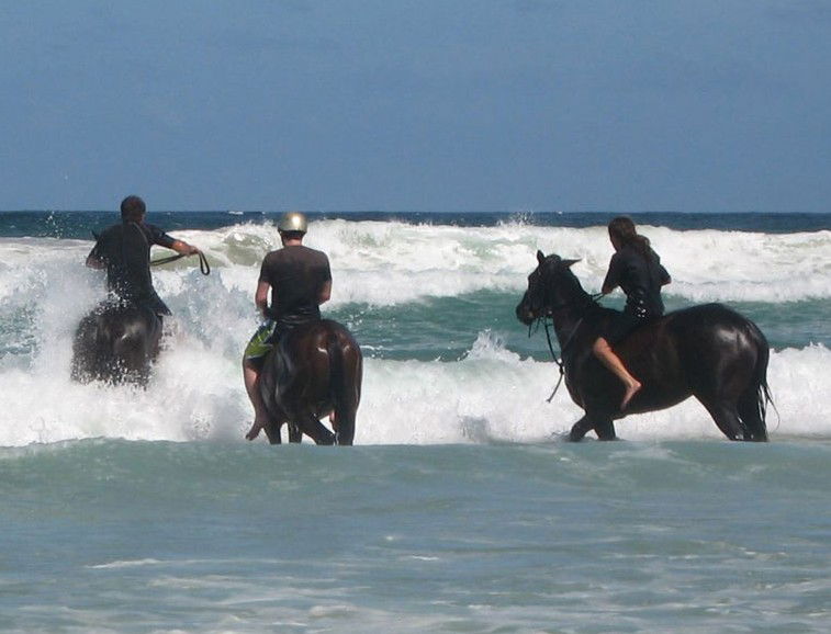 Brooklet NSW Tourism Search