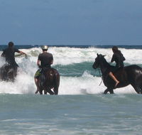 Pegasus Park Equestrian Centre - Tourism Search