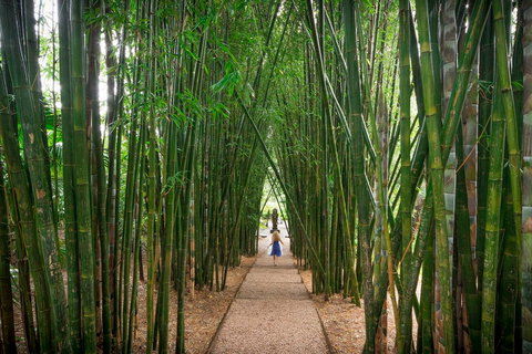 Crystal Castle & Shambhala Gardens - Tourism Search 1