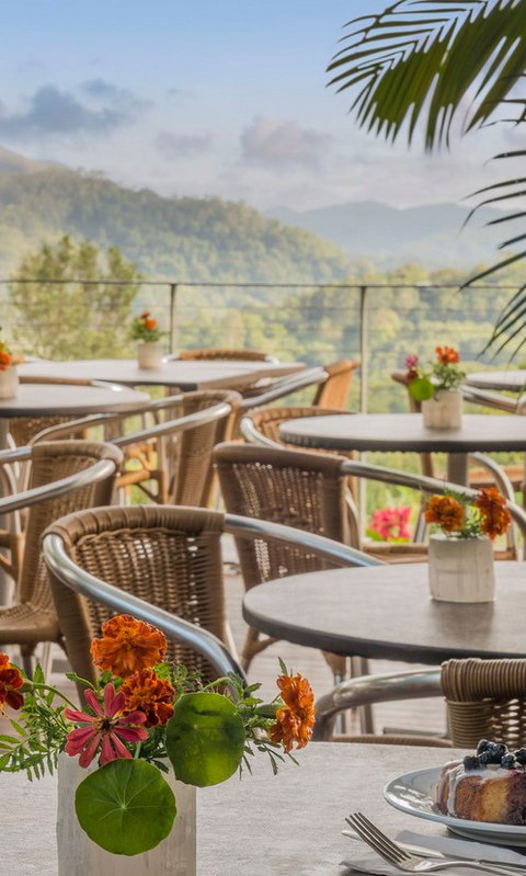 Crystal Castle & Shambhala Gardens - Tourism Search 2