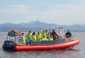 Byron Bay Whale Watching - Tourism Search 2