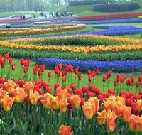 Botanica World Discoveries - Tourism Search